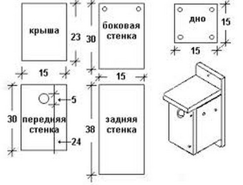 сделать скворечник размер