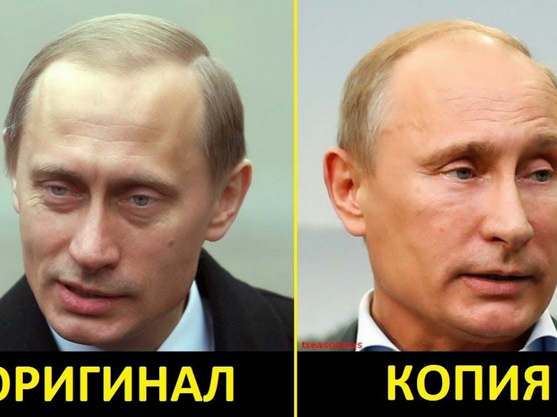 Добби И Путин Сравнение Фото